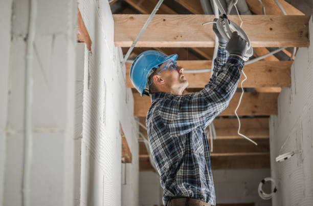 Best Electric Panel Repair  in Attla, AL