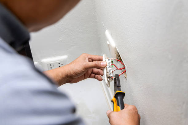 Best Electric Panel Repair  in Attla, AL